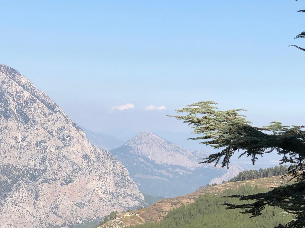 Yenivadi Villa Antalya Buitenkant foto